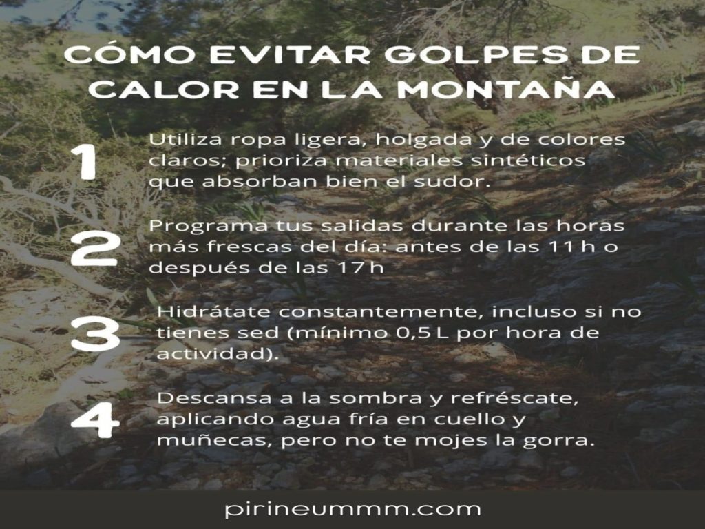 evita-golpes-de-calor-pirineummm.com